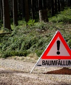 Baumfällung